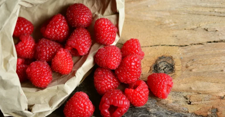 10 Best Fruits for Weight Loss: Science-Backed Choices for Sustainable Results