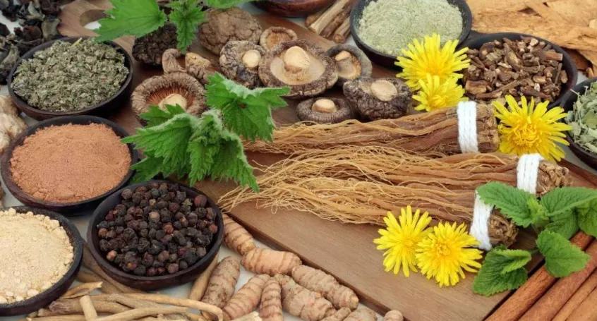 Top 10 Adaptogens for Mental Clarity and Focus